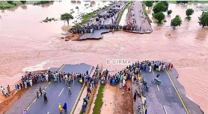 There are a lot of problems in Bauchi state but Tinubu is responsible for it, Governor Bala Muhammed of Bauchi